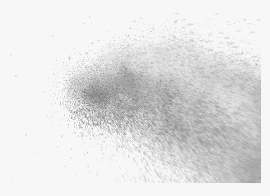 飞溅效果图片 - Flock, HD Png Download