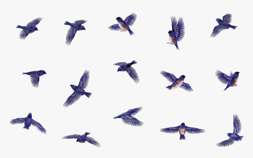 Butterfly 14 By Wolverine041269 On Deviantart - Flock, HD Png Download