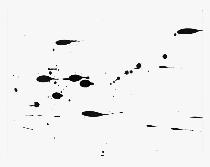 Monochrome, HD Png Download