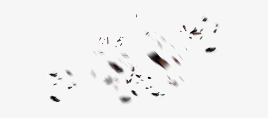 Macro Photography, HD Png Download