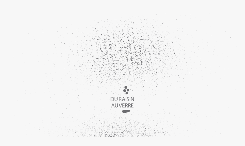 Bird, HD Png Download