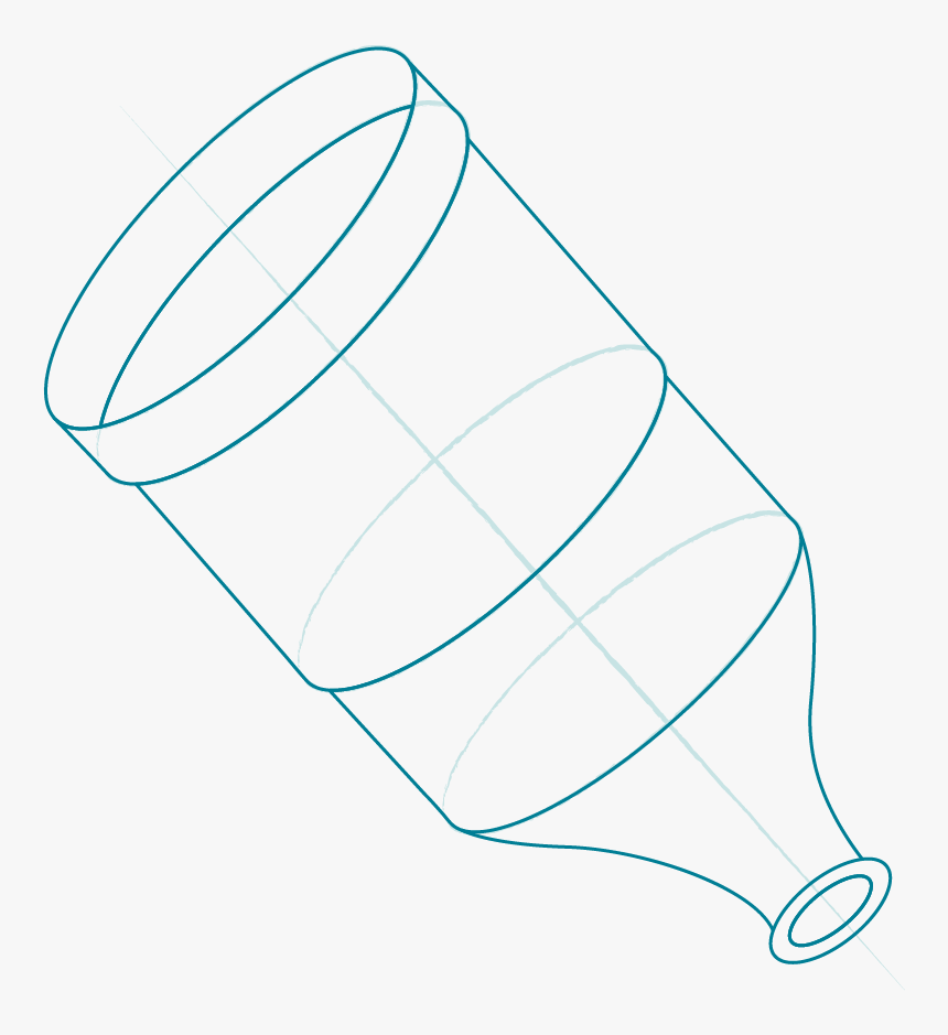 Illustration - Seal - Drawing, HD Png Download