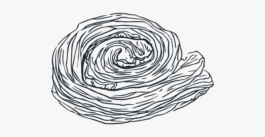 Pophams Bakery Illustrations A5 Final-08 - Sketch, HD Png Download
