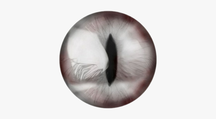 #lens #eyes #eye - Lens White Eye Png, Transparent Png