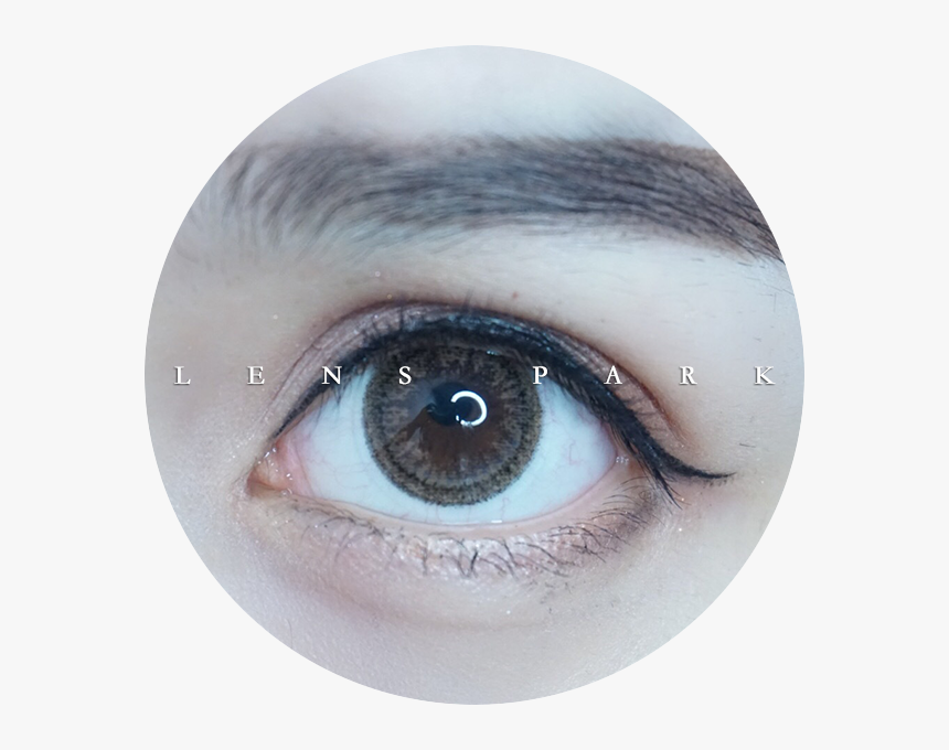 Eye Shadow, HD Png Download