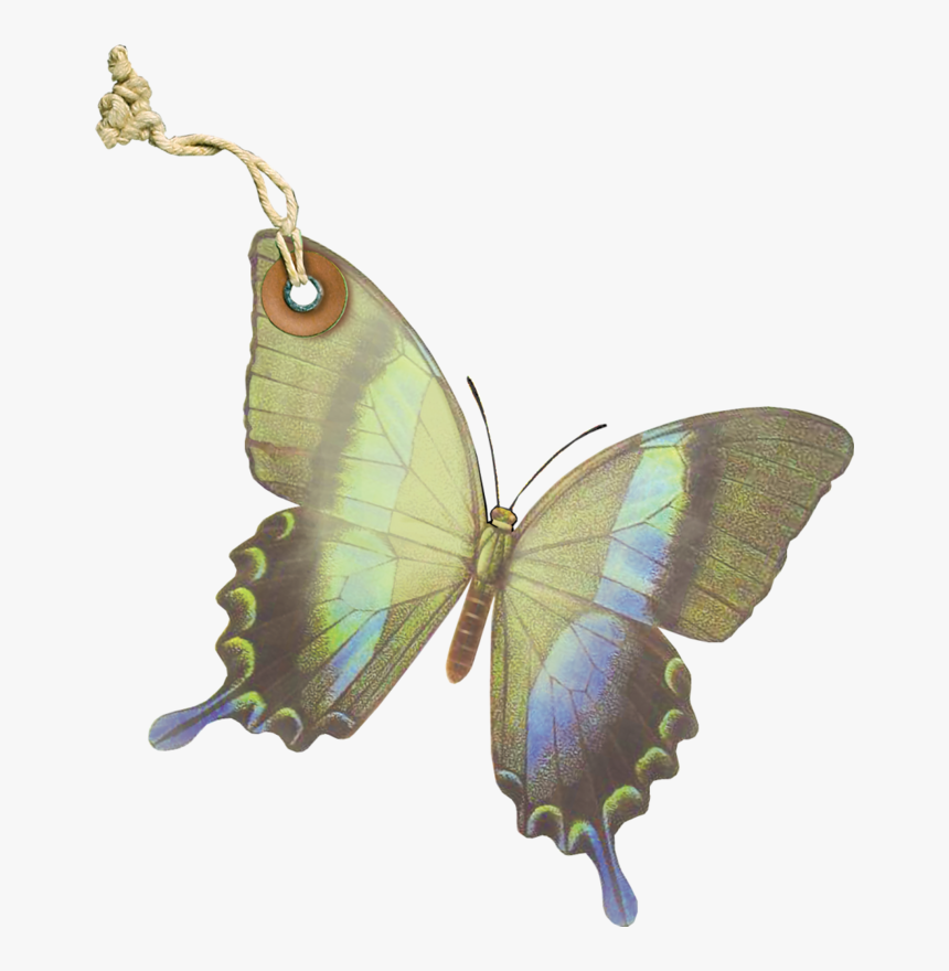 Earrings, HD Png Download