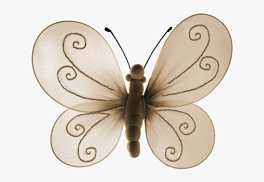 Butterfly, HD Png Download