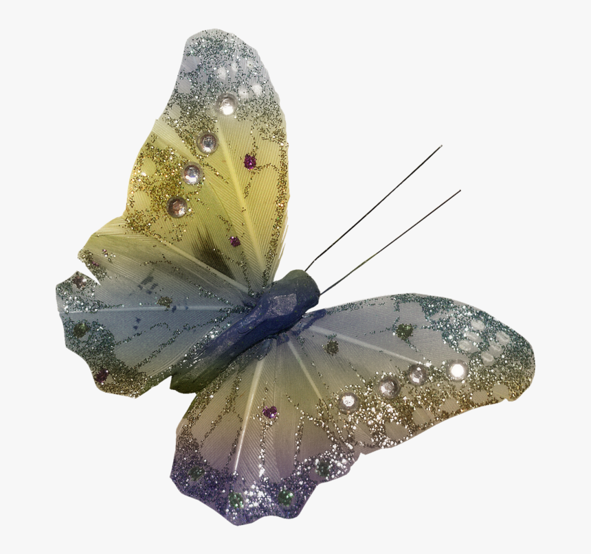 Belles Images En Fond Transparent En Png, Png Download