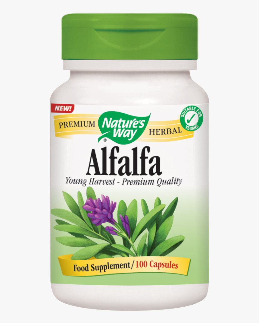 Alfalfa Capsules - Nature's Way Licorice Root, HD Png Download