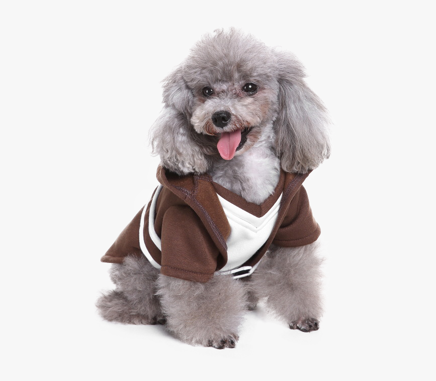 Dog Costume Star Wars Transparent, HD Png Download