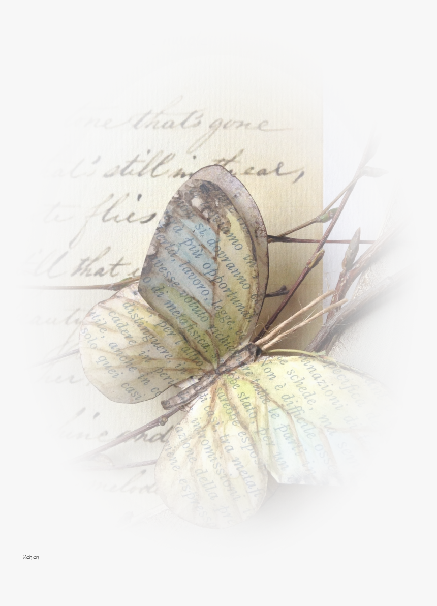 Realistic Paper Butterflies, HD Png Download