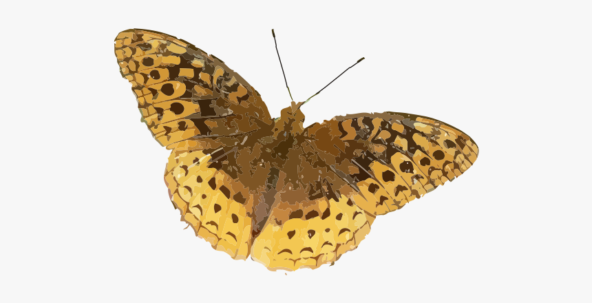 Speyeria Cybele - Brown Orange Butterfly, HD Png Download