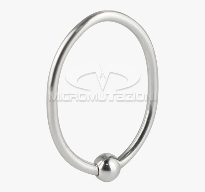 Circle, HD Png Download