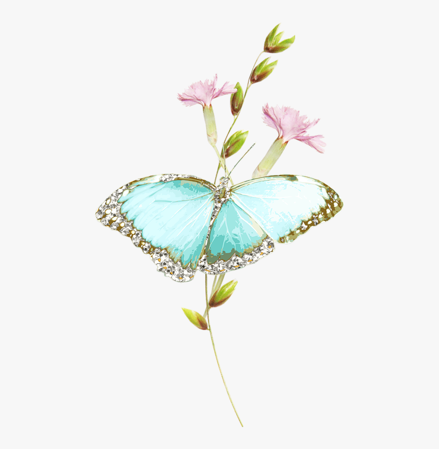 Illustration, HD Png Download