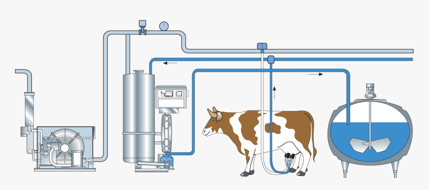 Automated Milking And Examination Of Cows, HD Png Download