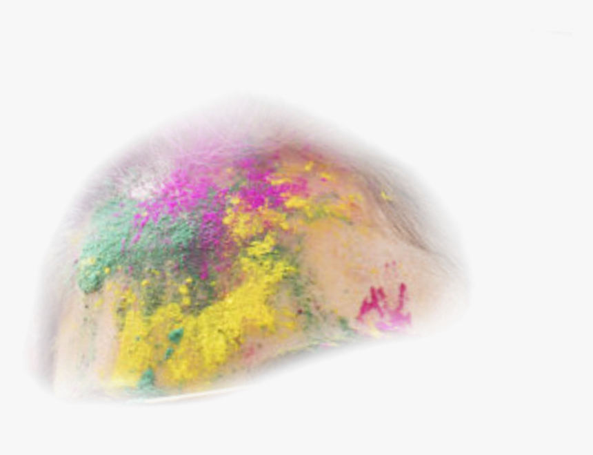 Visual Arts, HD Png Download