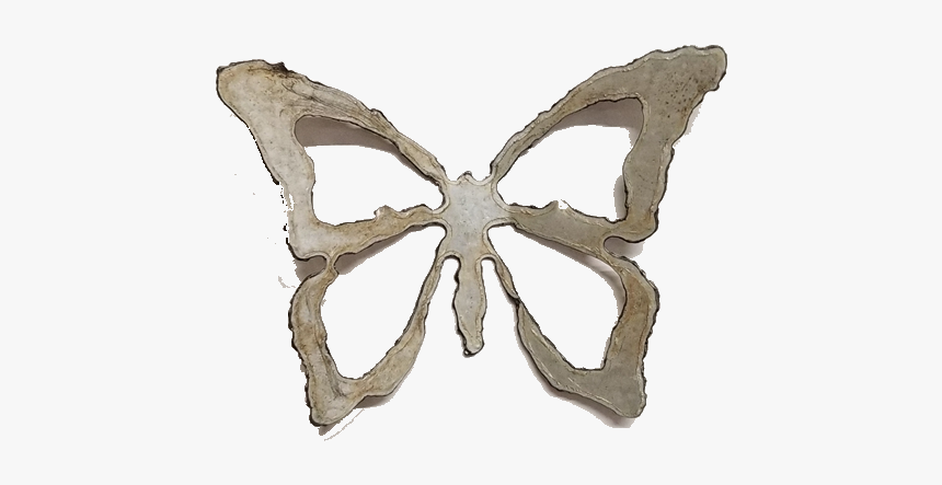 Brush-footed Butterfly, HD Png Download