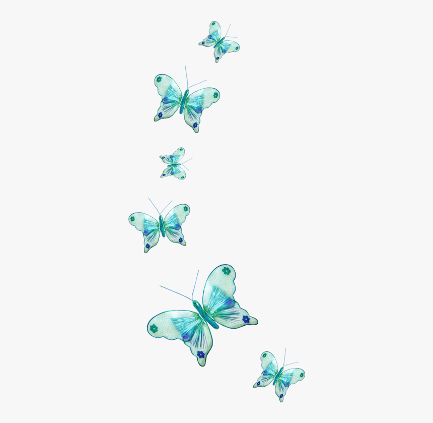 Butterfly Photo Download Hd, HD Png Download