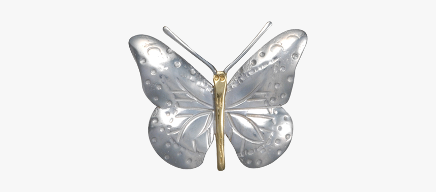 P160b-sp0 - American Painted Lady, HD Png Download