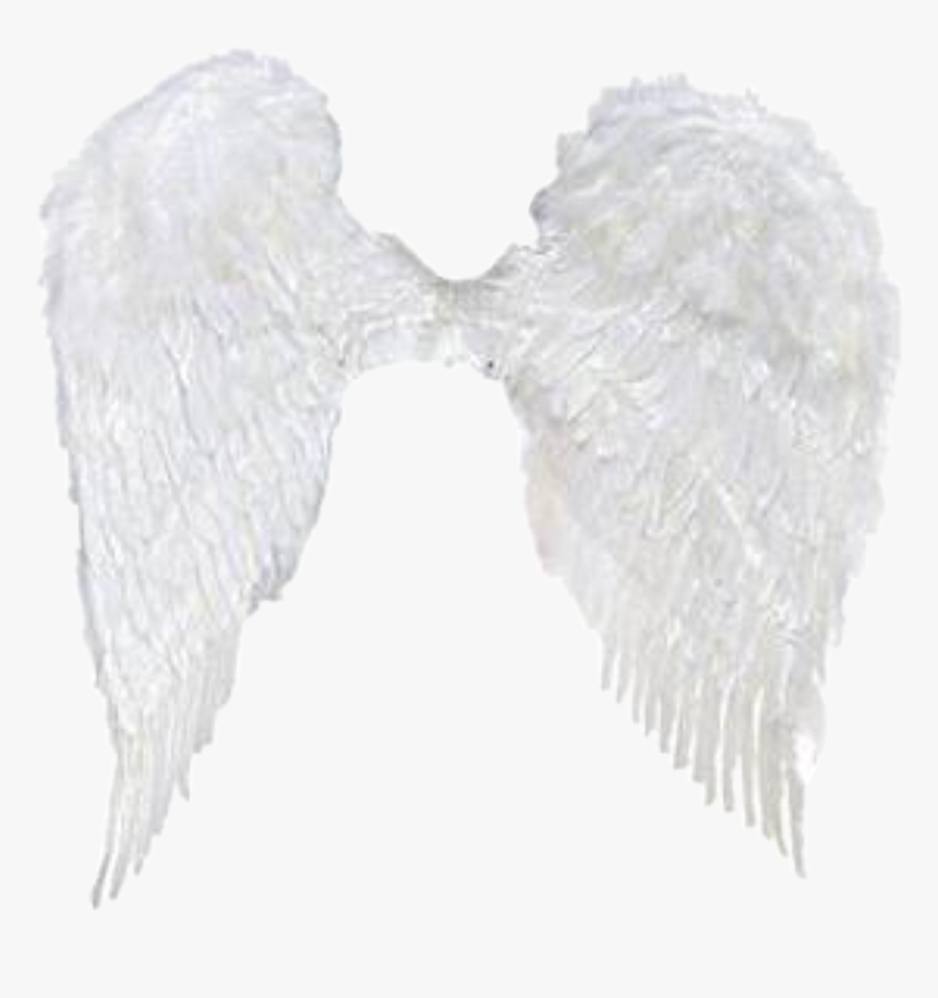#angelwings #wings #angel #aesthetic #sticker #freetoedit - Angel, HD Png Download