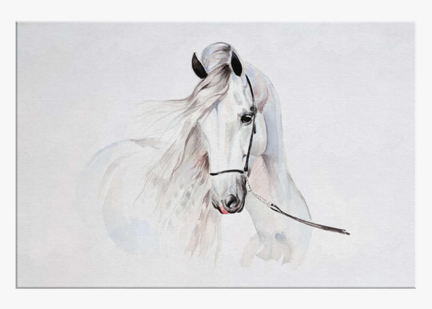 Naklejka Na Ścianę Koń, HD Png Download