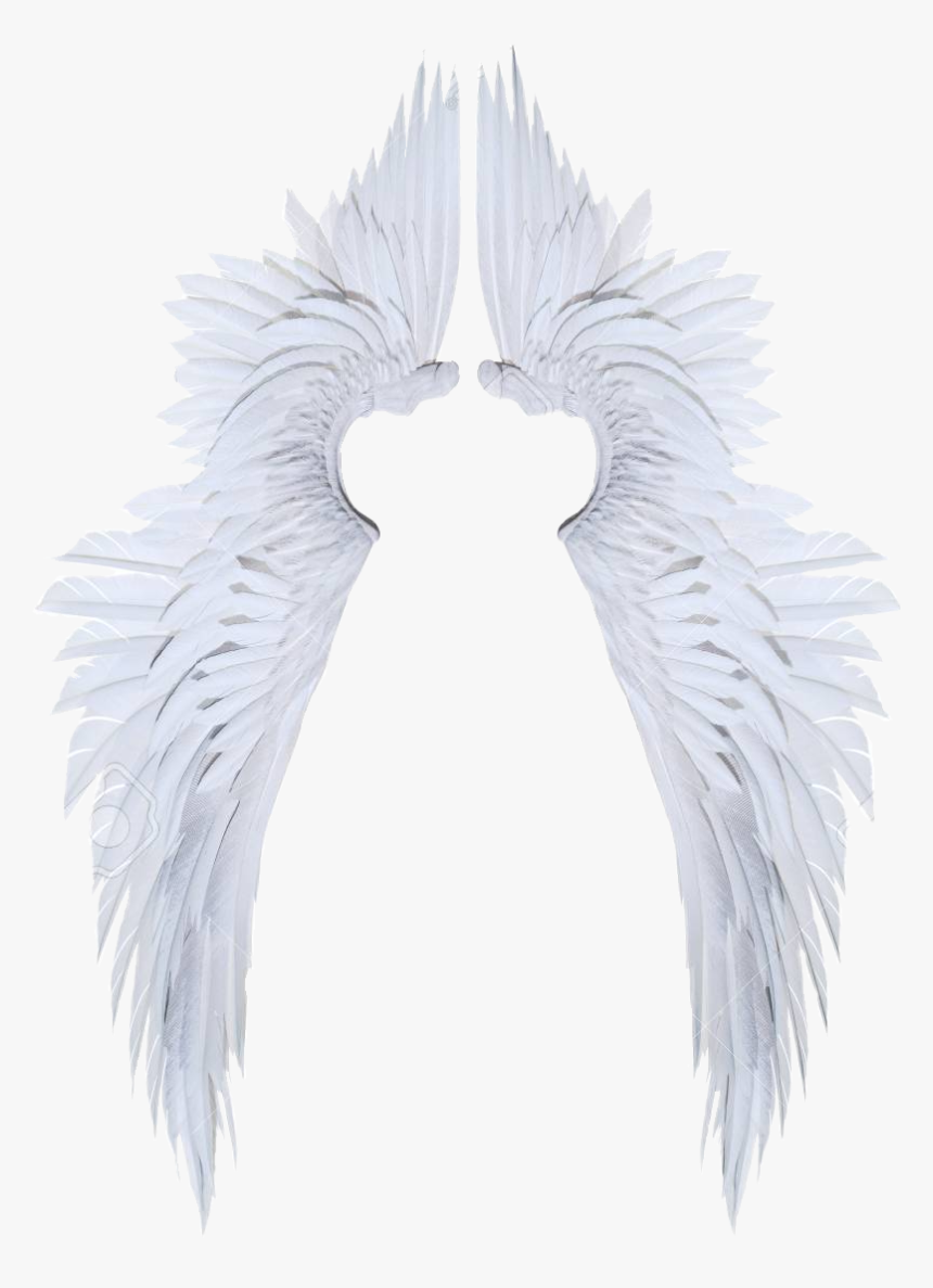 Origami, HD Png Download