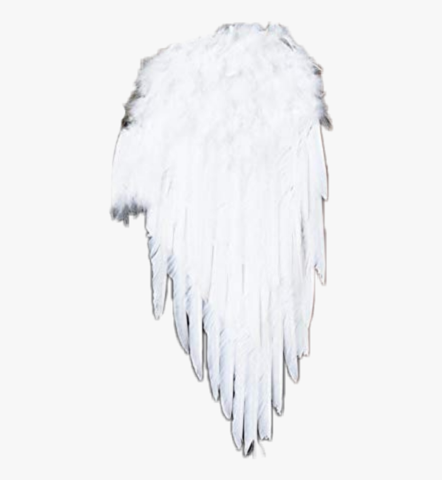 #engel#flügel#angels #angel #angelwings #engelflügel - Darkness, HD Png Download