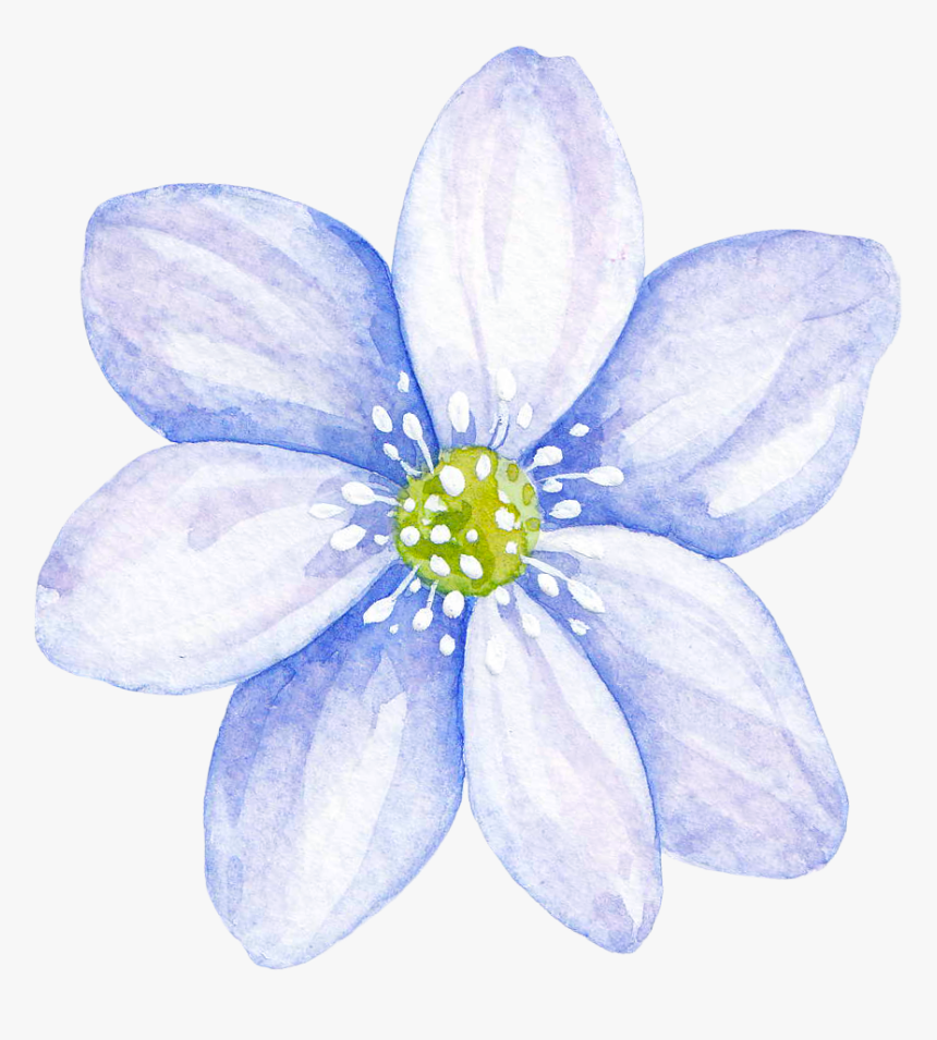 Gold Overlay Png, Transparent Png