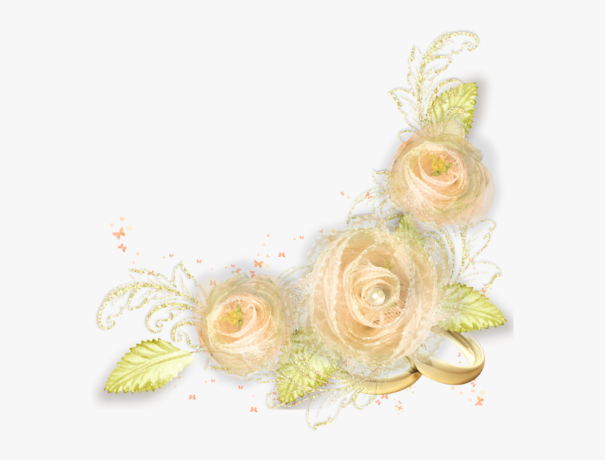 Garden Roses, HD Png Download