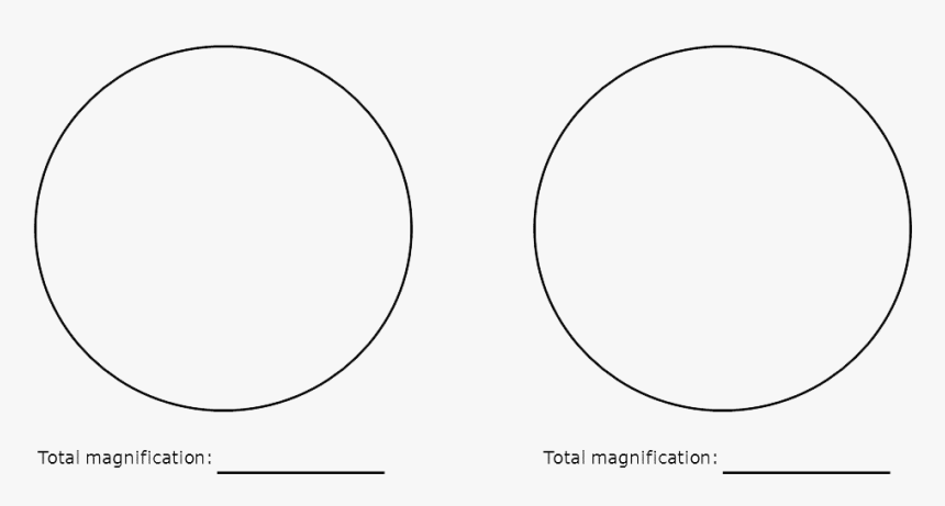 Two-circles - Circle, HD Png Download