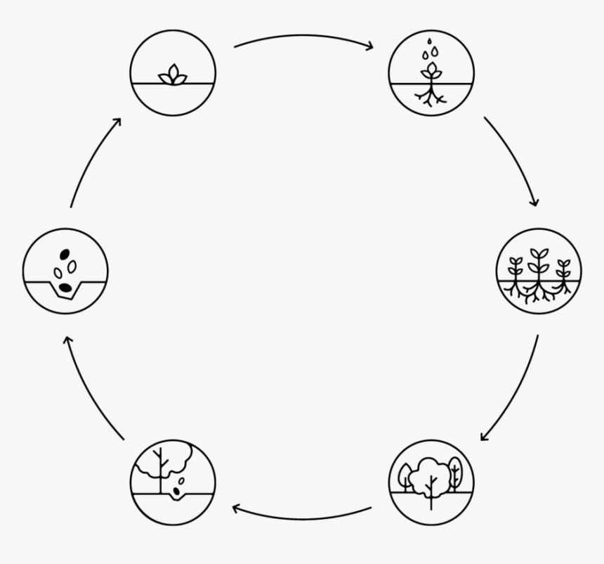 Circle, HD Png Download