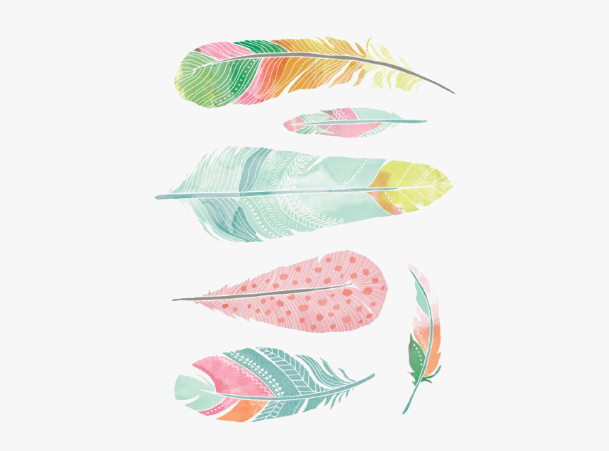 Watercolor Wallpaper Feathers, HD Png Download