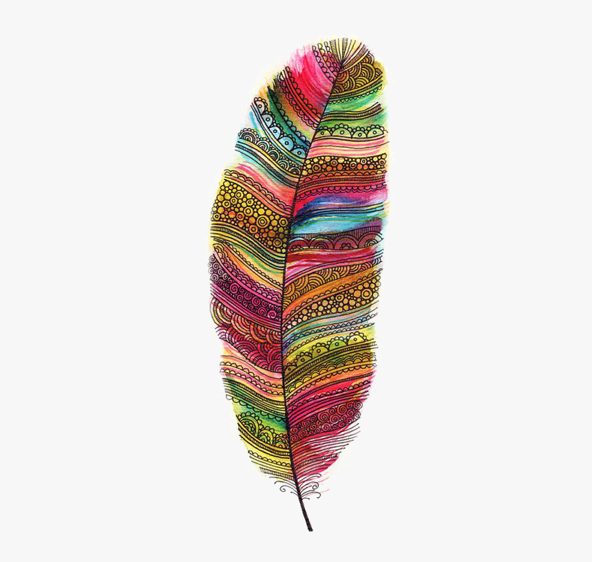 #boho #bohemian #feather #feathers #freetoedit - Colourful Feathers Of Birds, HD Png Download