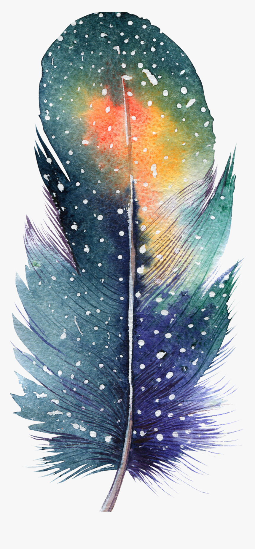 Painting Feathers, HD Png Download