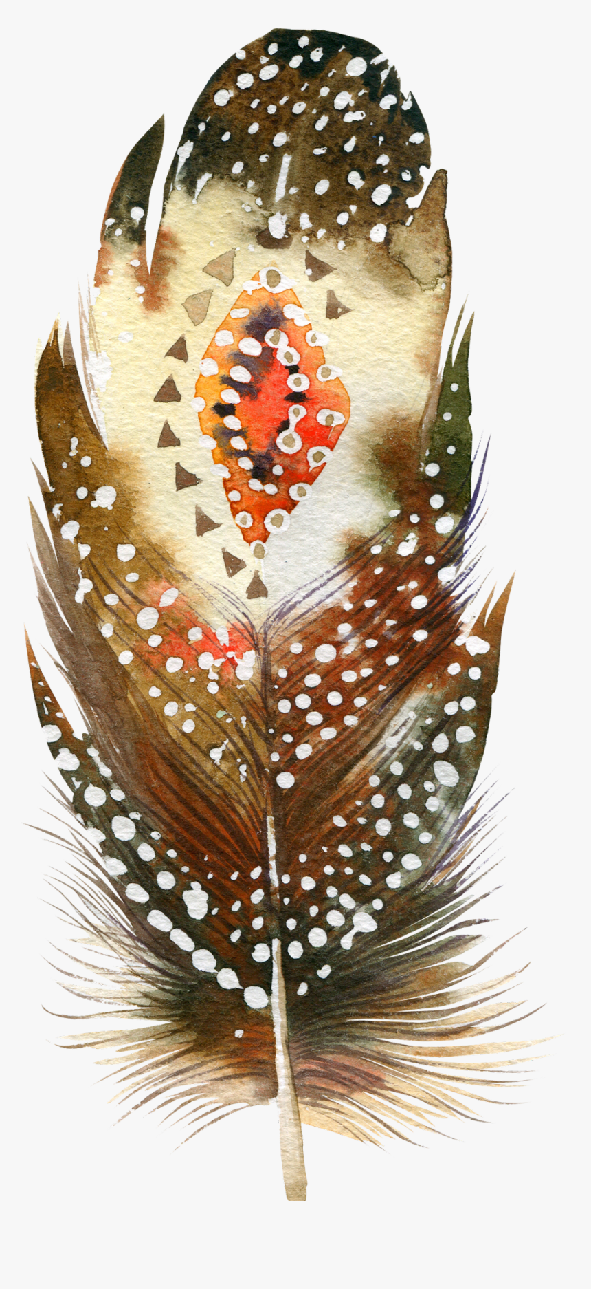 #feather #bohofeather #bohemian #featherart #feathersticker - Watercolor Feathers Boho, HD Png Download