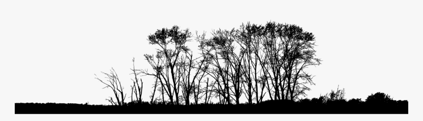 Monochrome, HD Png Download