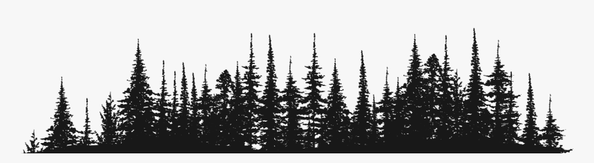 Christmas Tree, HD Png Download