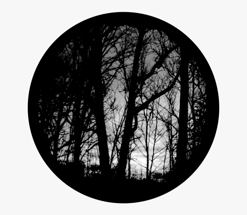 Stage Lighting, HD Png Download