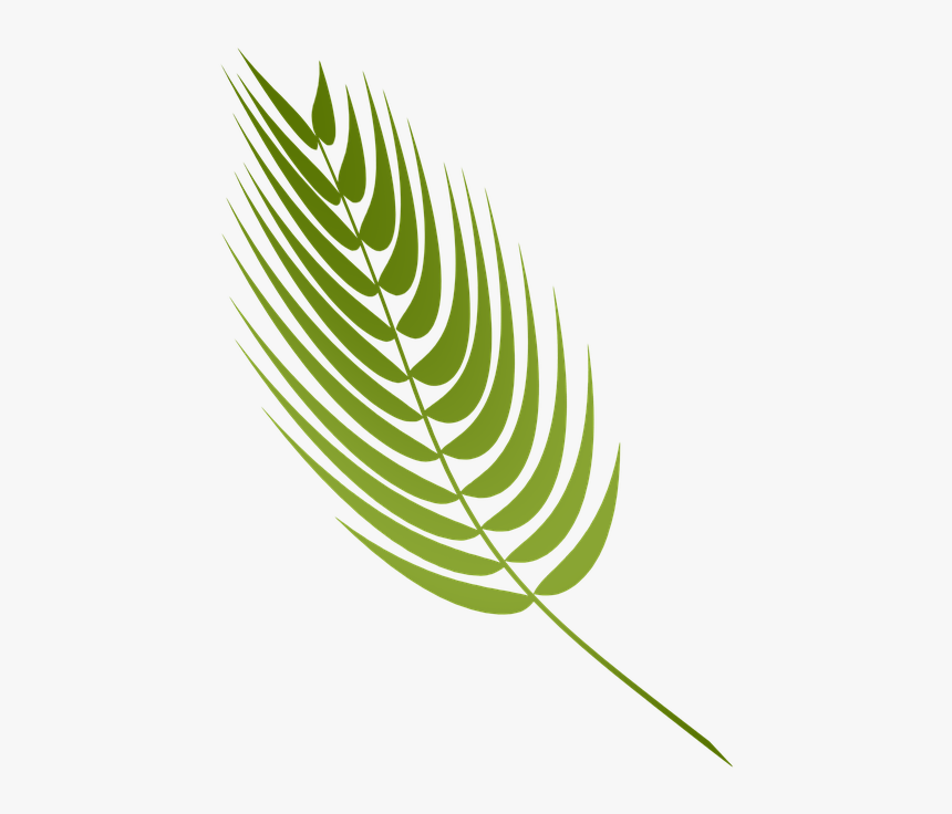 Palm And Crown Of Thorns Clipart, HD Png Download