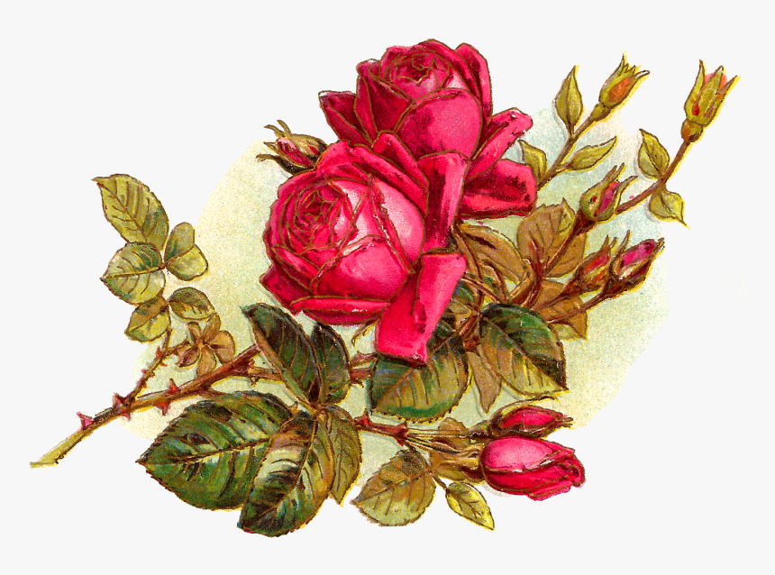 Flores Rosas Png, Transparent Png