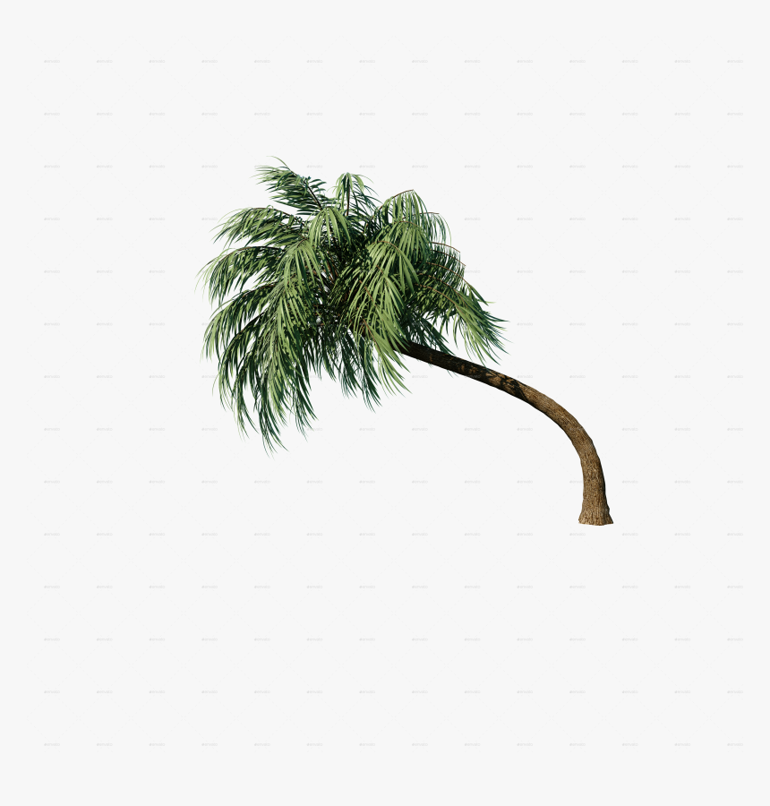 Pond Pine, HD Png Download