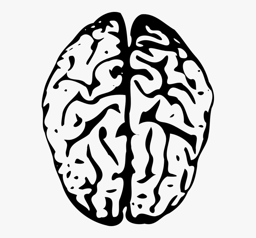 Transparent Background Brain Clip Art- - Blue Brain Png, Png Download