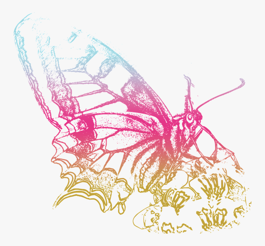 Portable Network Graphics, HD Png Download