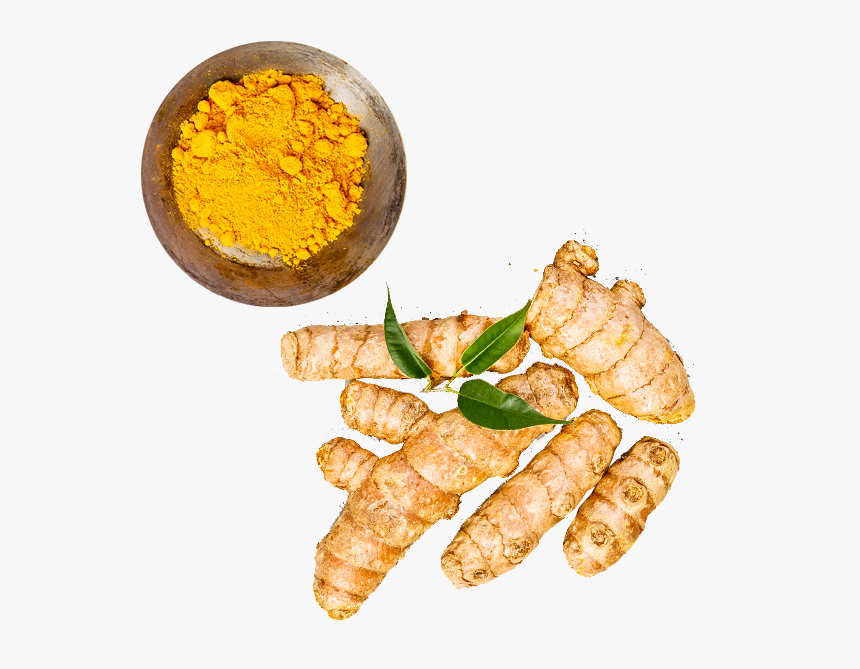 Topview - Carrot, HD Png Download