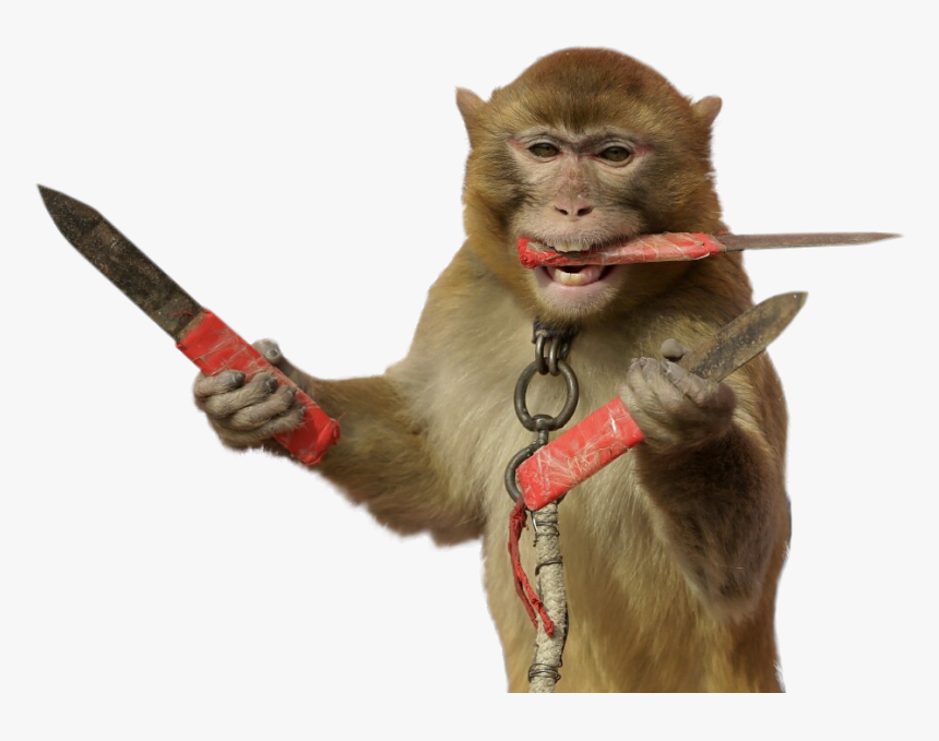 Knife Catcher, HD Png Download