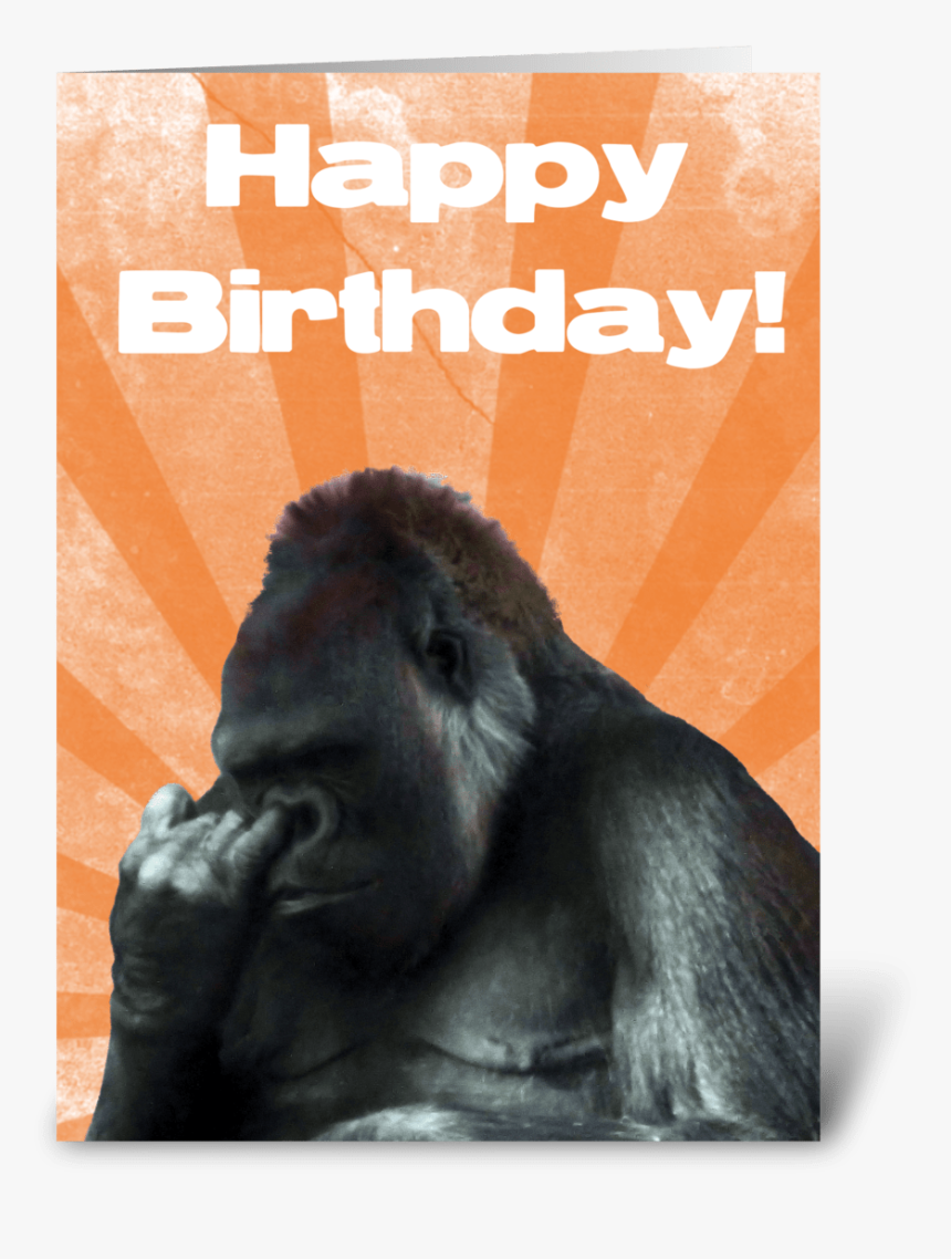 Funny Nose Picking Gorilla Greeting Card - Happy Birthday Funny Gorilla, HD Png Download