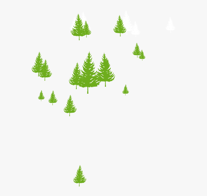 Transparent Evergreen Trees Png - Christmas Tree, Png Download