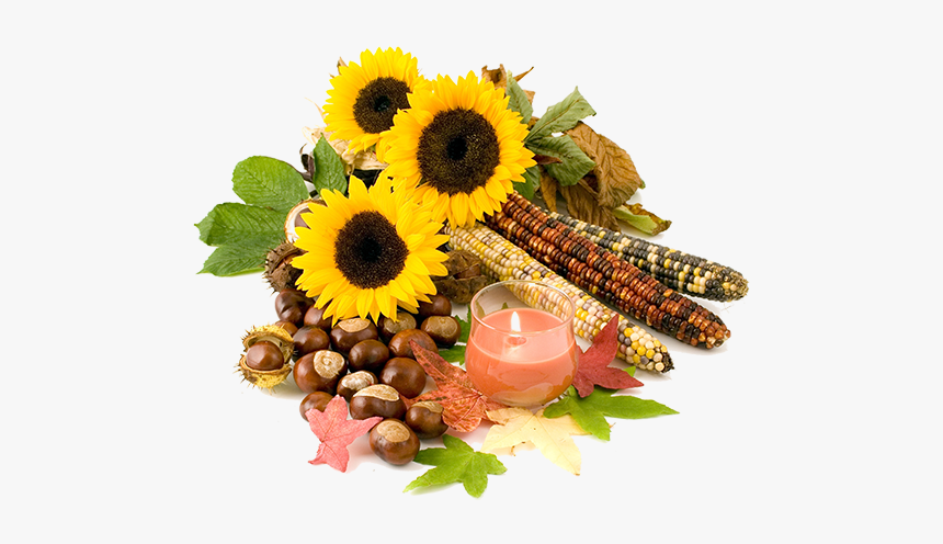 Still Life, HD Png Download