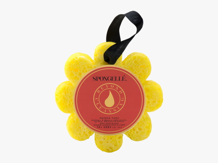 Spongelle, HD Png Download