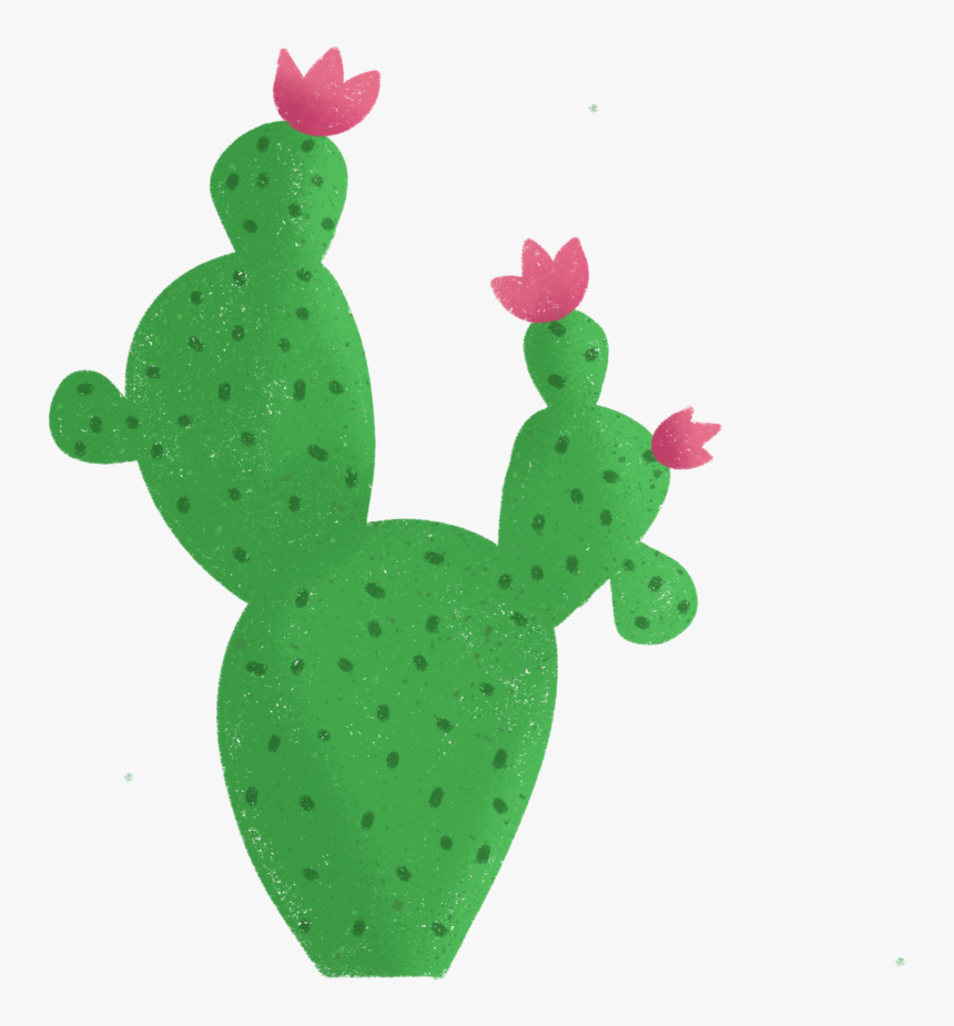 Barbary Fig, HD Png Download